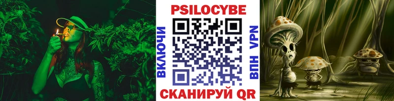 купить закладку  Баймак  Псилоцибиновые грибы ЛСД 