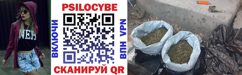 Псилоцибиновые грибы ЛСД Баймак